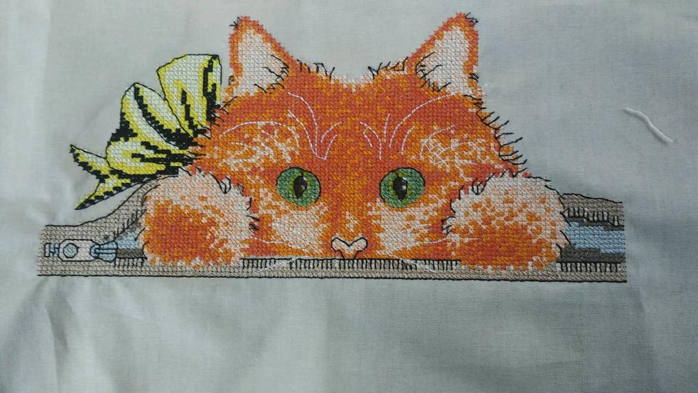 Cat inside cross stitch free embroidey design