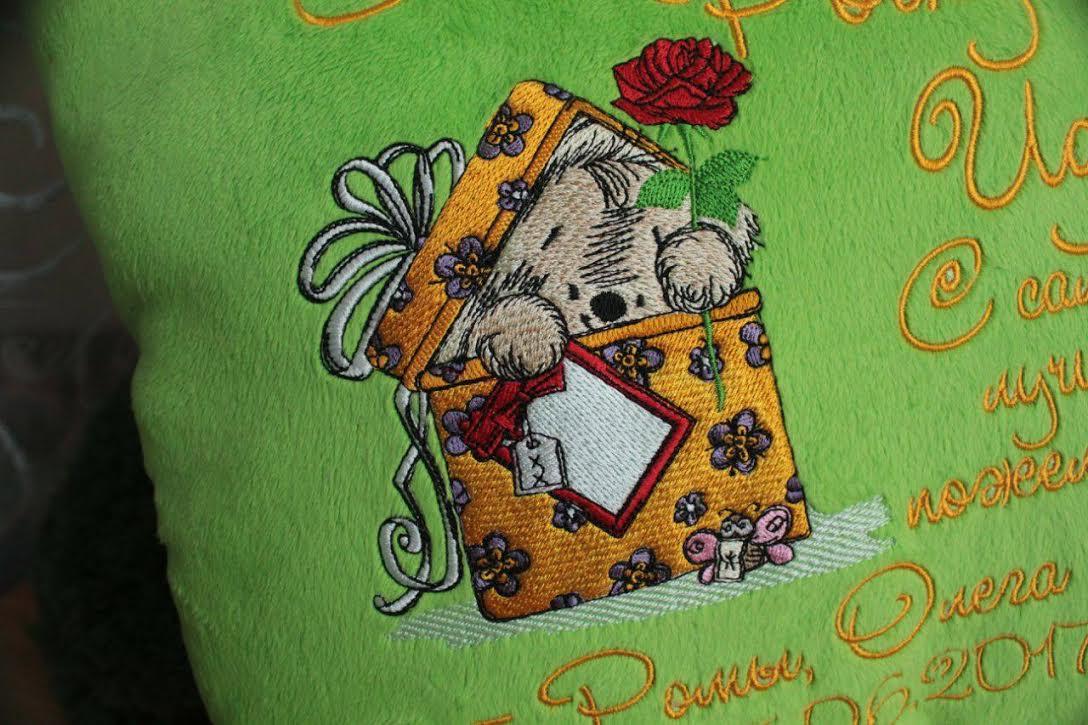 Fragment of embroidered pillow with dog in box design