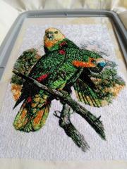 Couple of parrots free embroidery design
