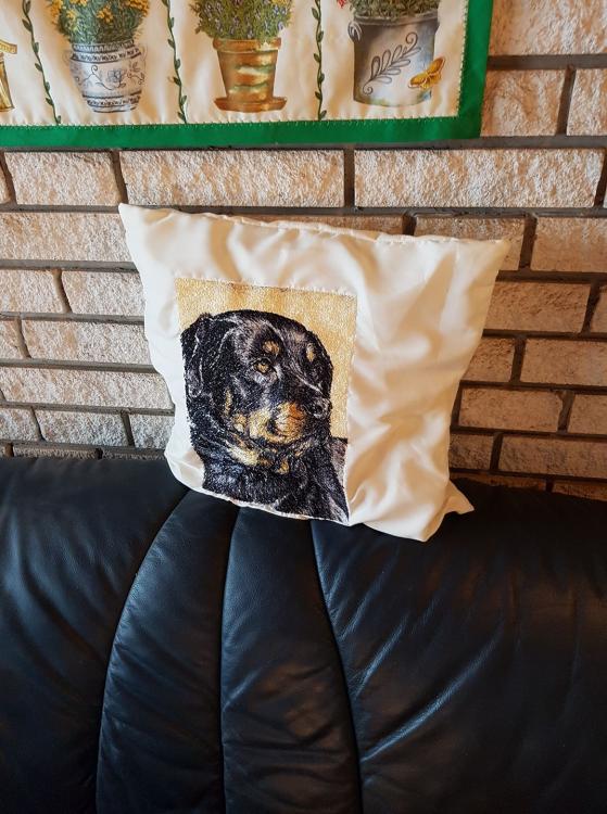 Rottweiler photo stitch free embroidery design