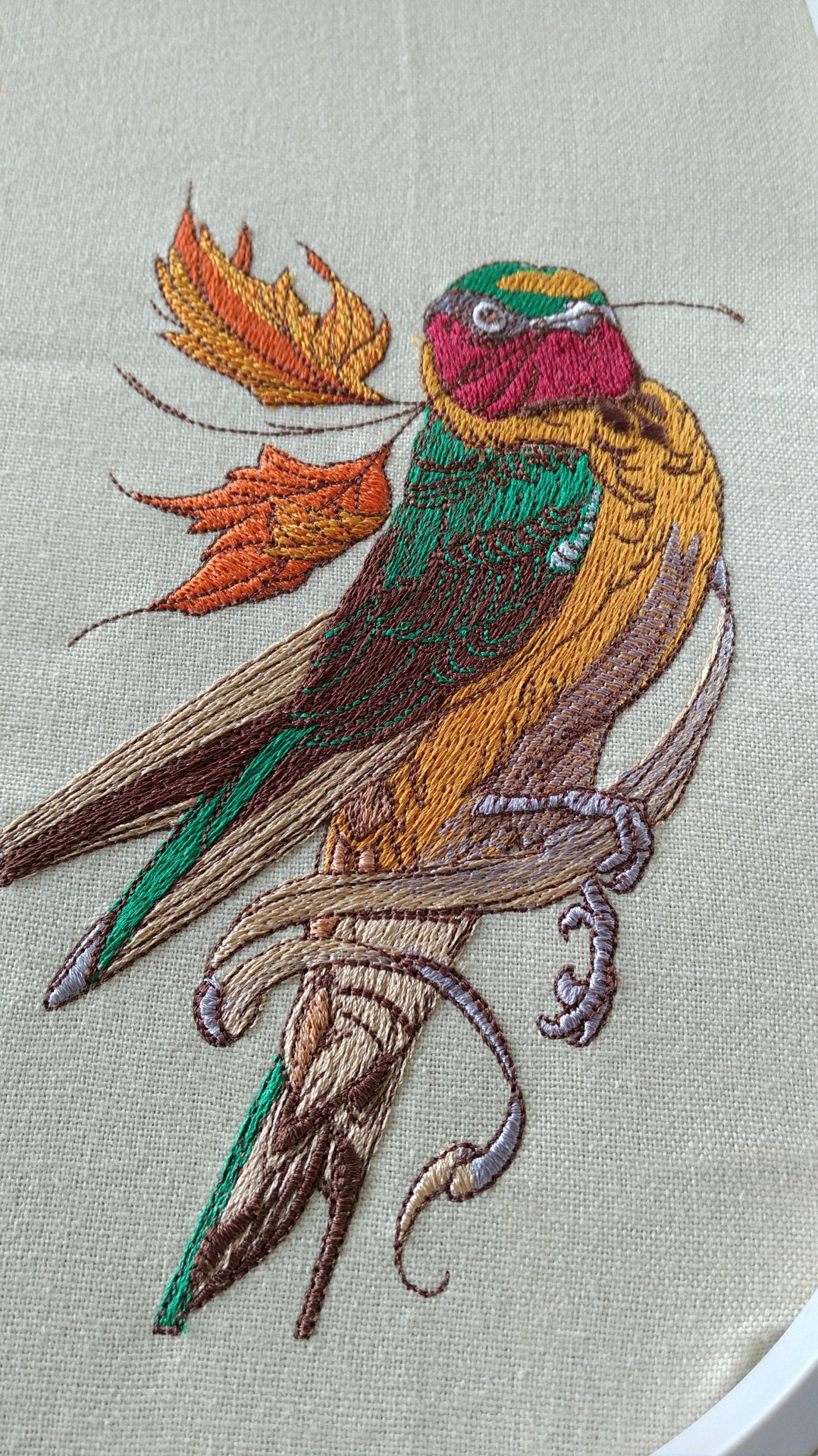 Close up Siberian rubythroat embroidery design
