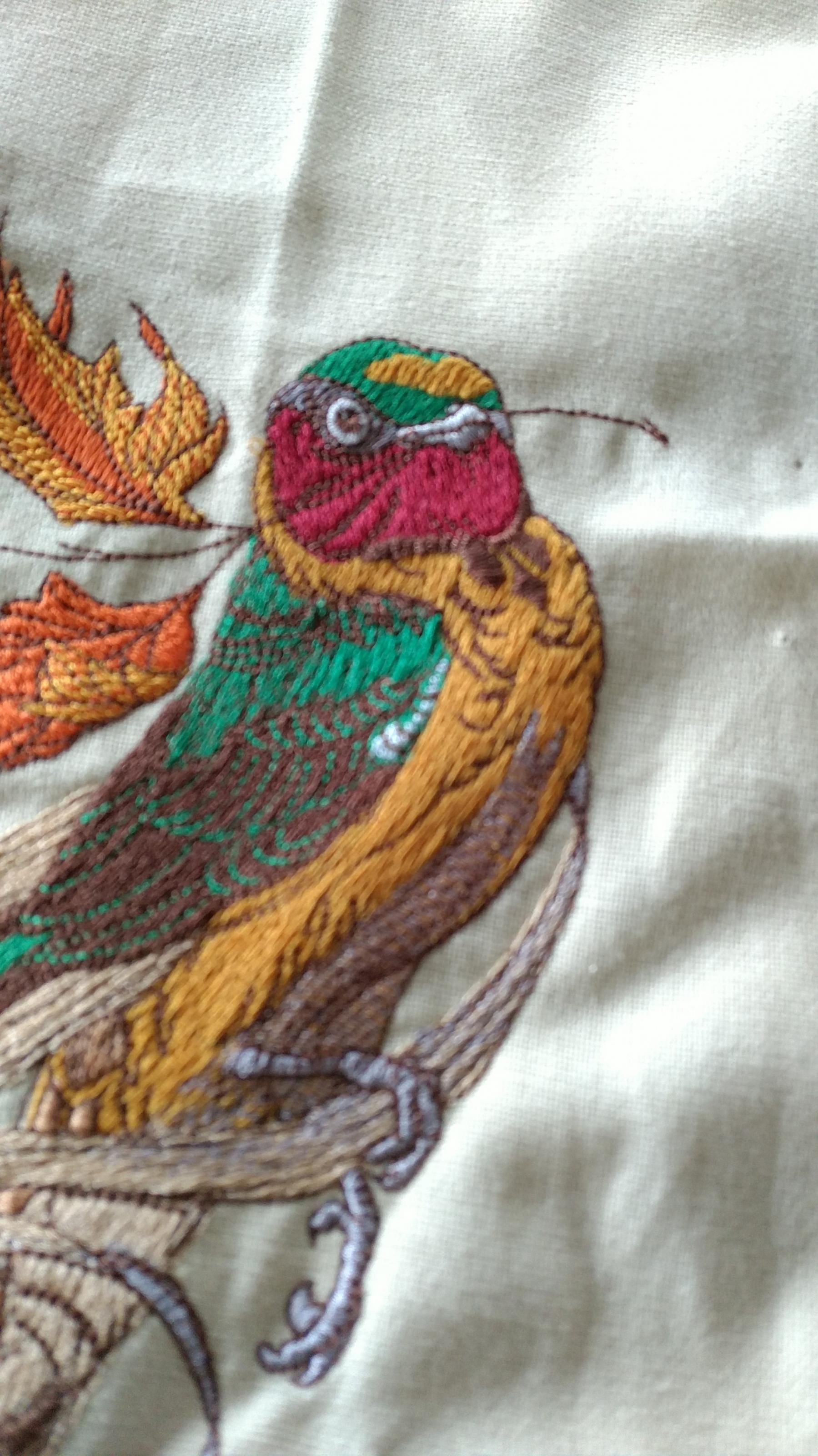 Colorful bird embroidery design