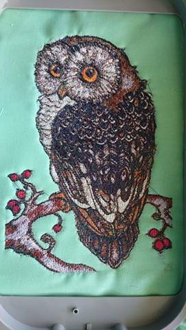 Owl photo stitch free embroidery design