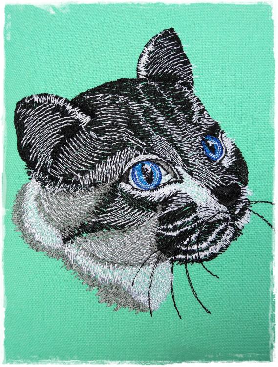 Embroidered cat design