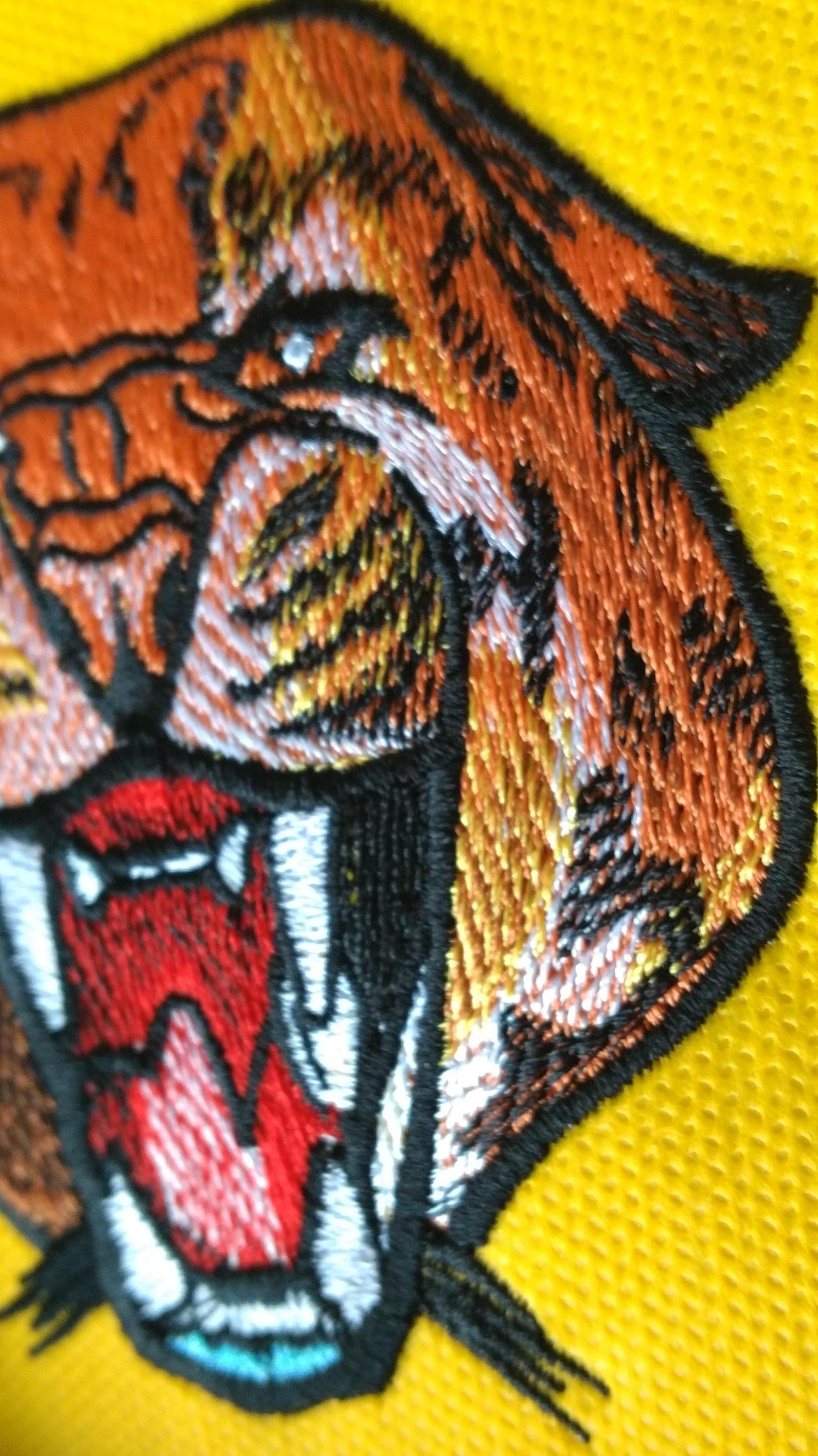 Detail of wild cheetah embroidery design
