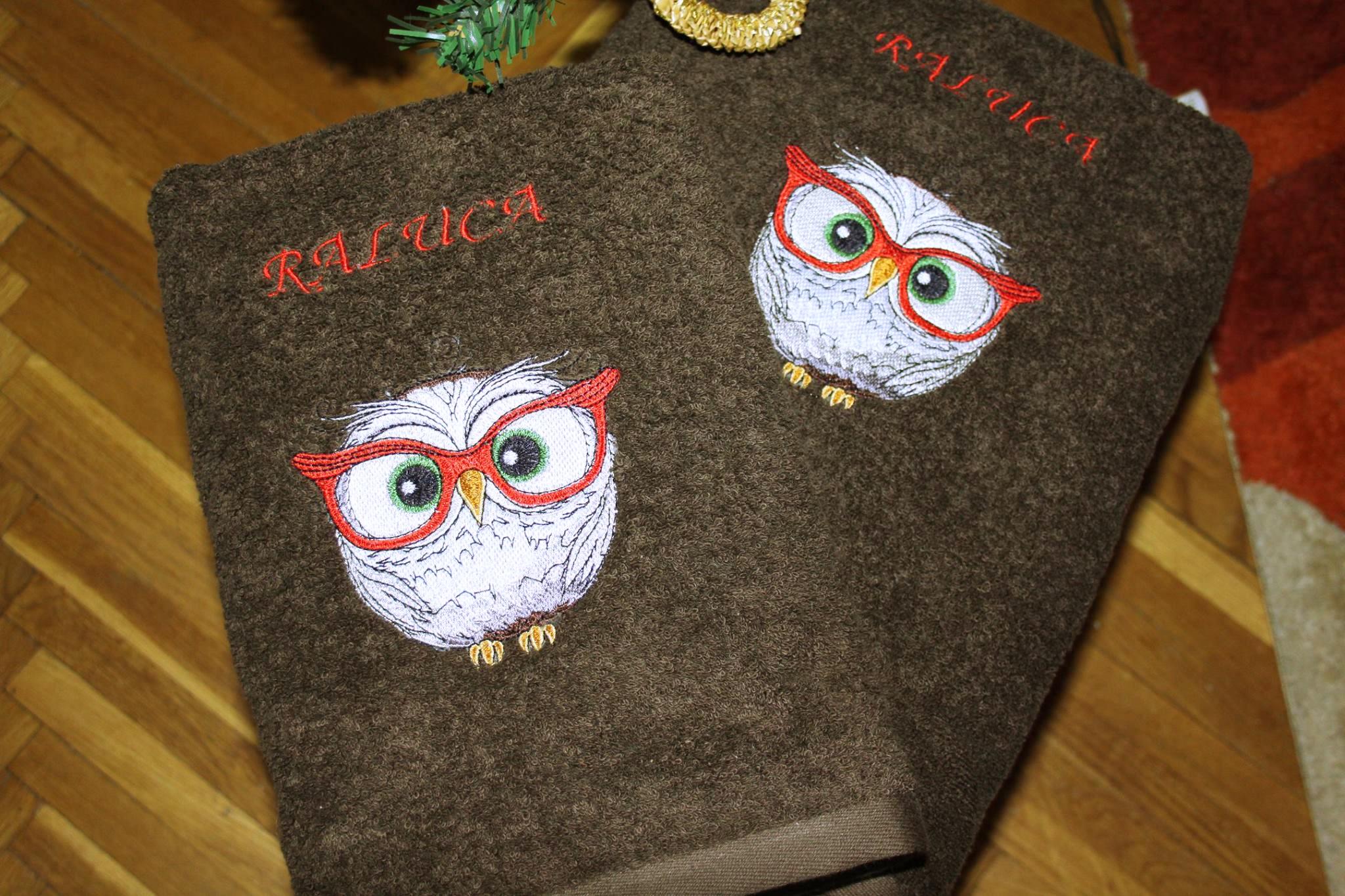 Embroidered cases with owl in glasses design