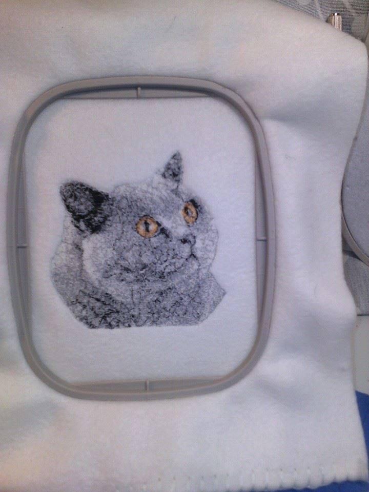 British Shorthair Cat embroidered