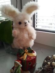 Little bunny Toys