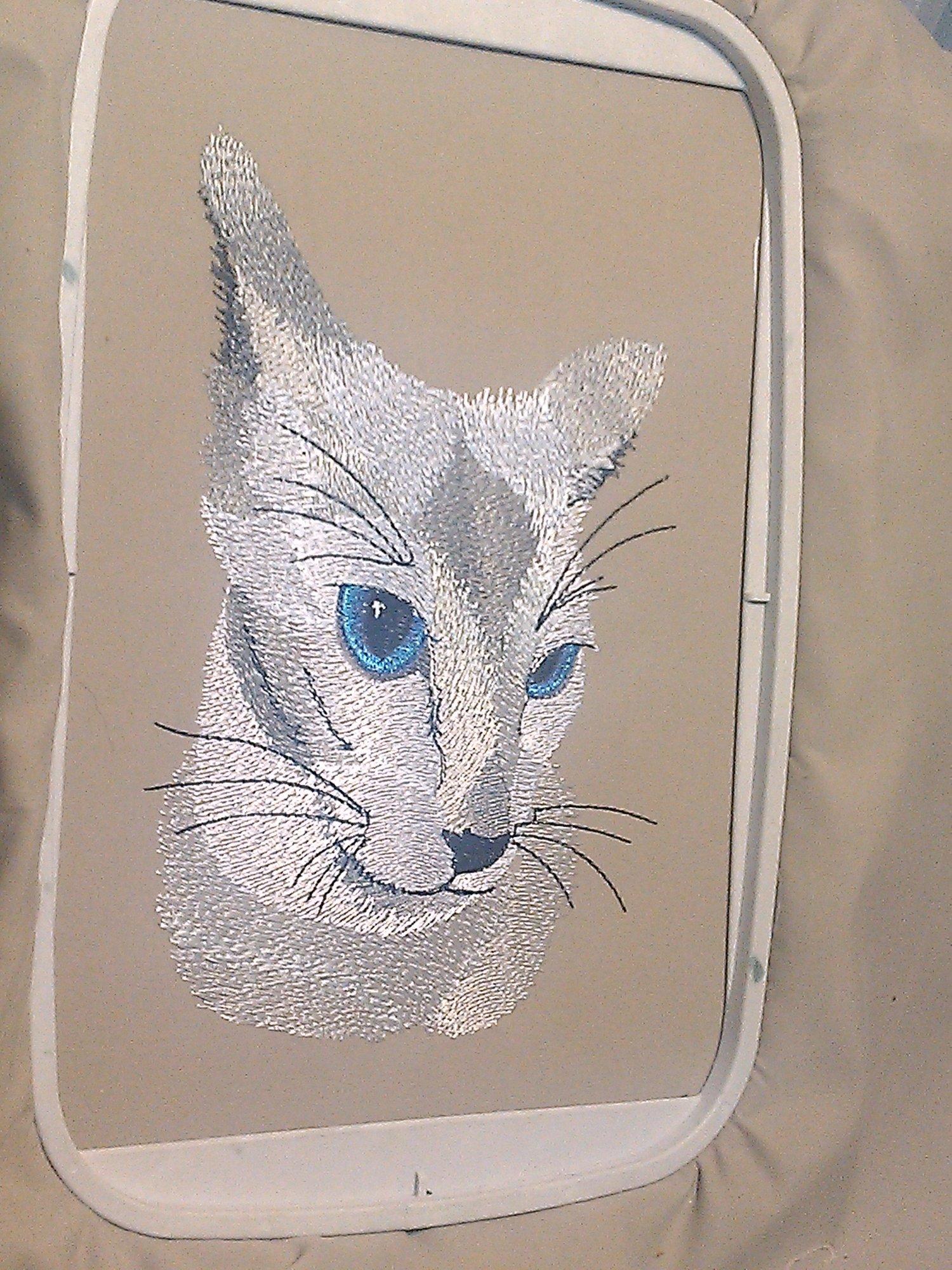 In hoop Blue eyes cat free embroidery design