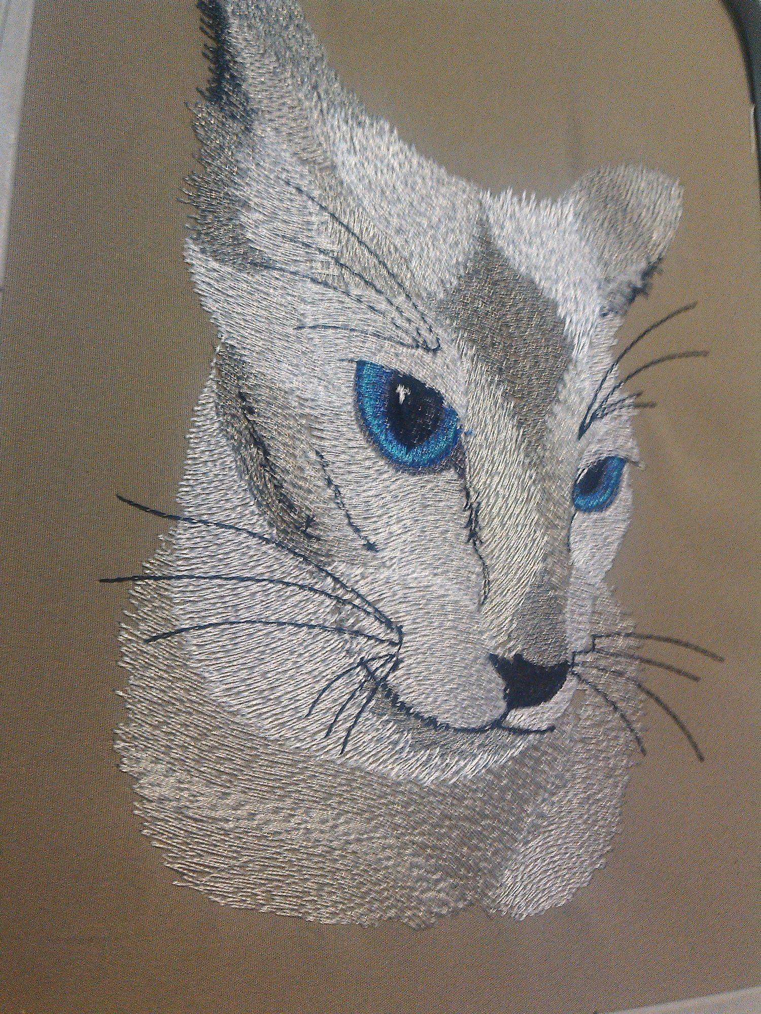 Cat with blue eyes free embroidery design
