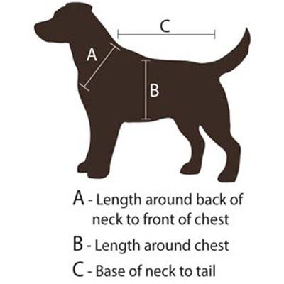 How create pattern for dog clothes Creating pattern for dog clothes