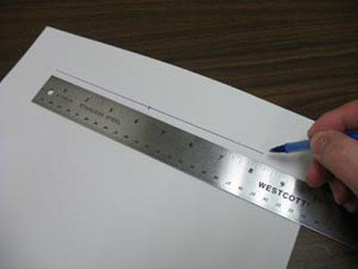 Measure fabric for future dog clothes Measure fabric for dog clothes