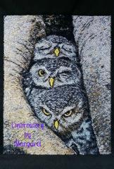 Embroidered owls free design