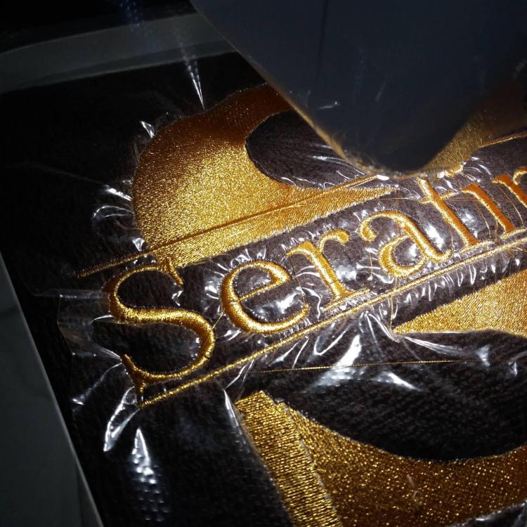 Embroidery process in Brother VR