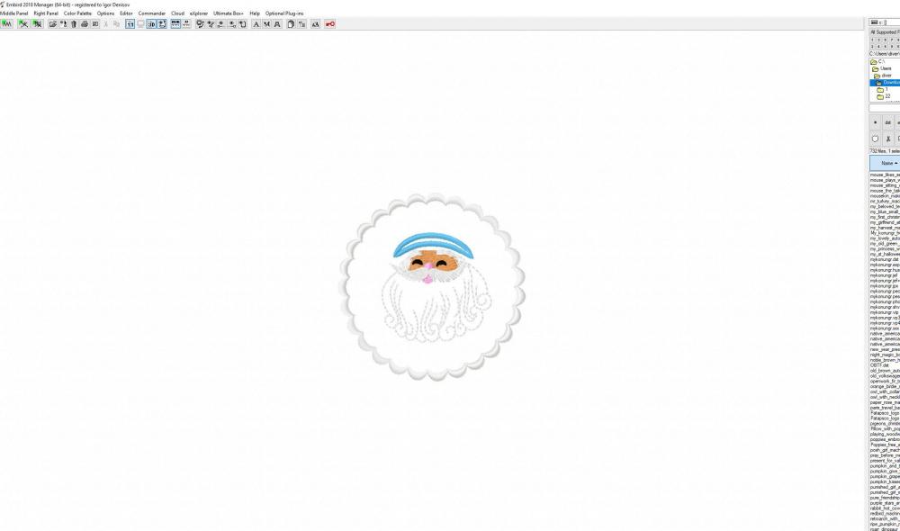 Open free design in Embrird embroidery software