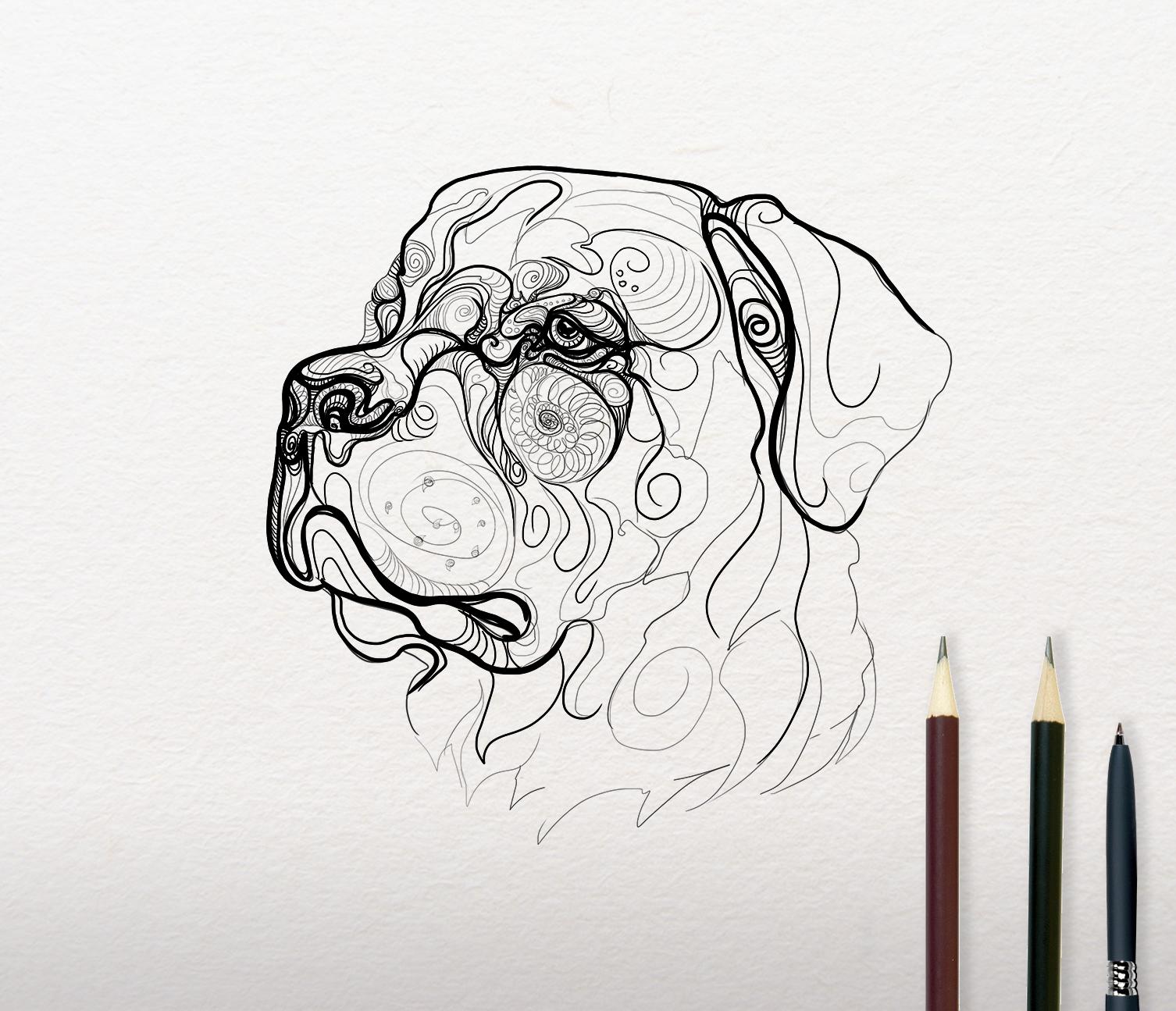 Sketch of Rottweiler design