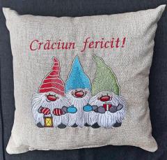 Embroidered cushion with Dvarwes design