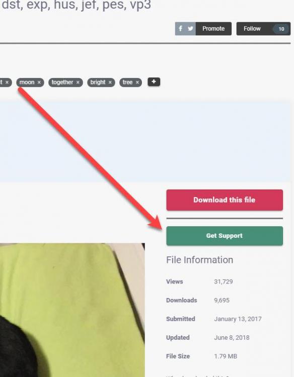 How get support for this embroidery design