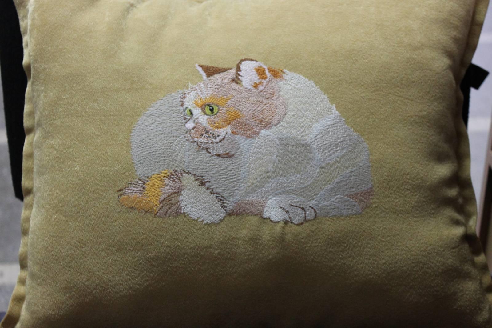 Embroidered pillow with cat free design