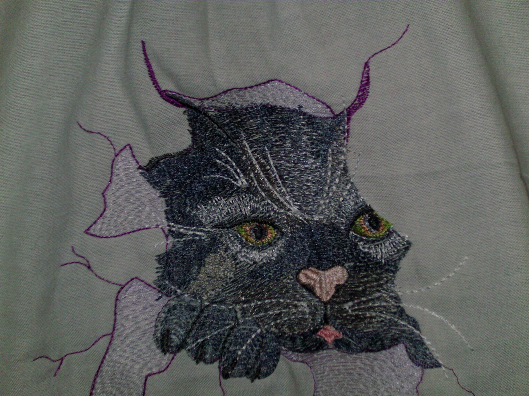 Strange cat free embroidery design