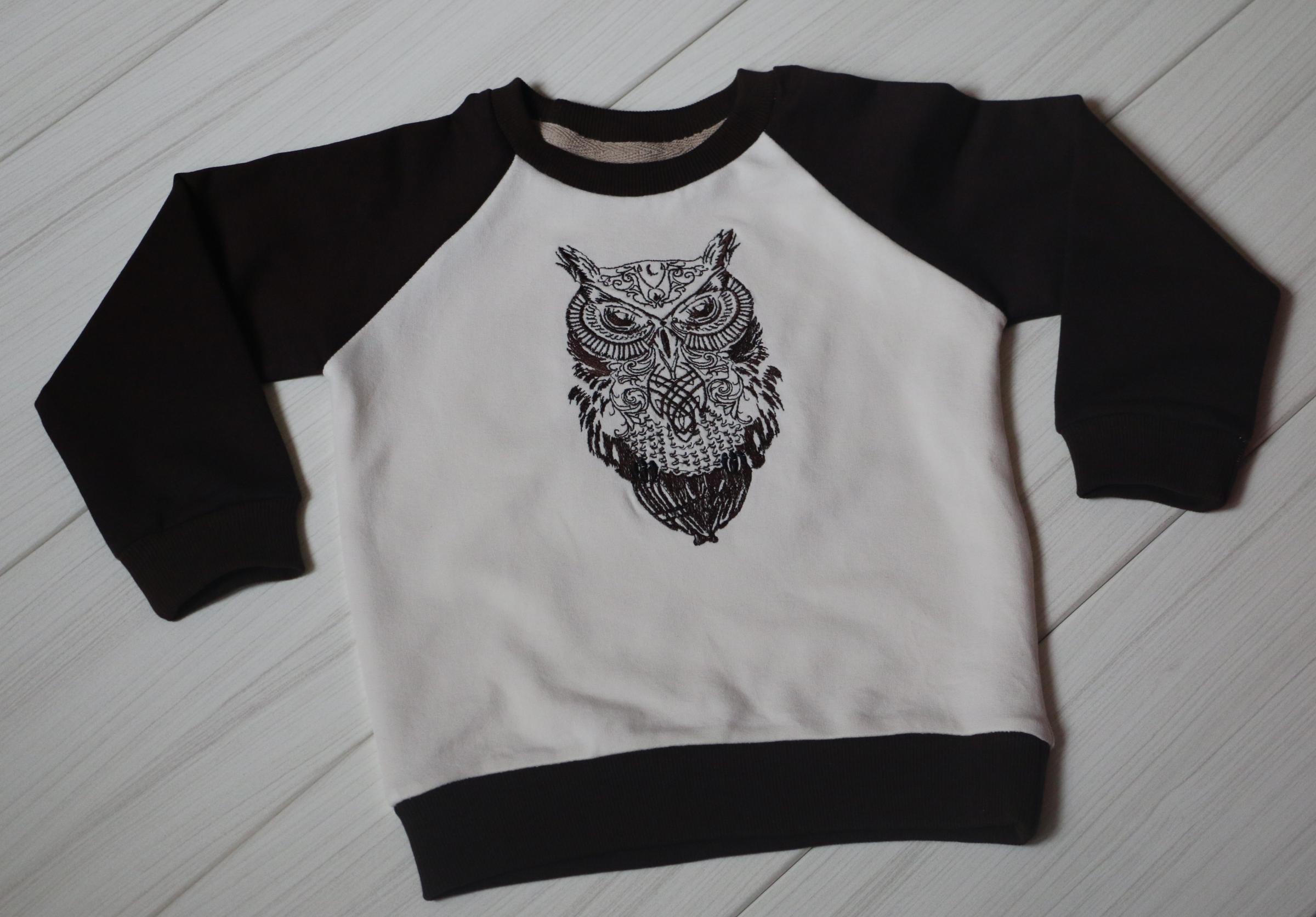 Sweater with Tribal owl embroidery design
