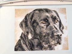 Big dog portrait free embroidery design