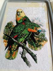 Couple of green parrots embroidery design