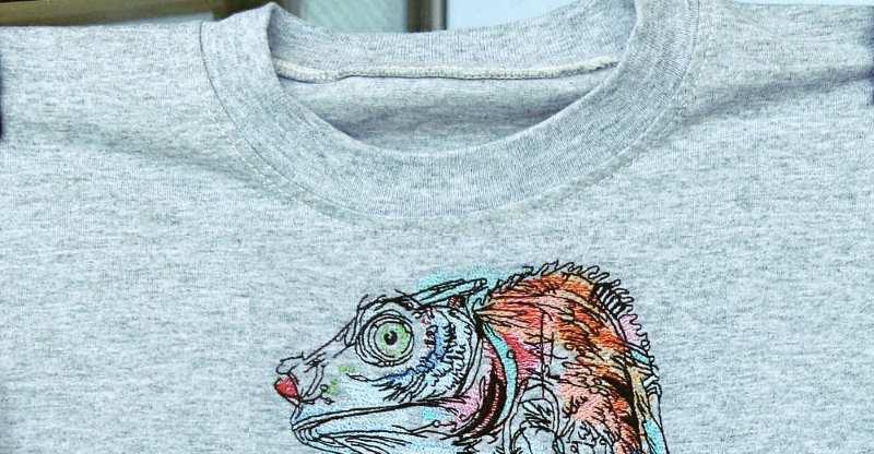 Machine embroidery on T-Shirts: how to ace it - Machine embroidery materials and technology - Machine embroidery community