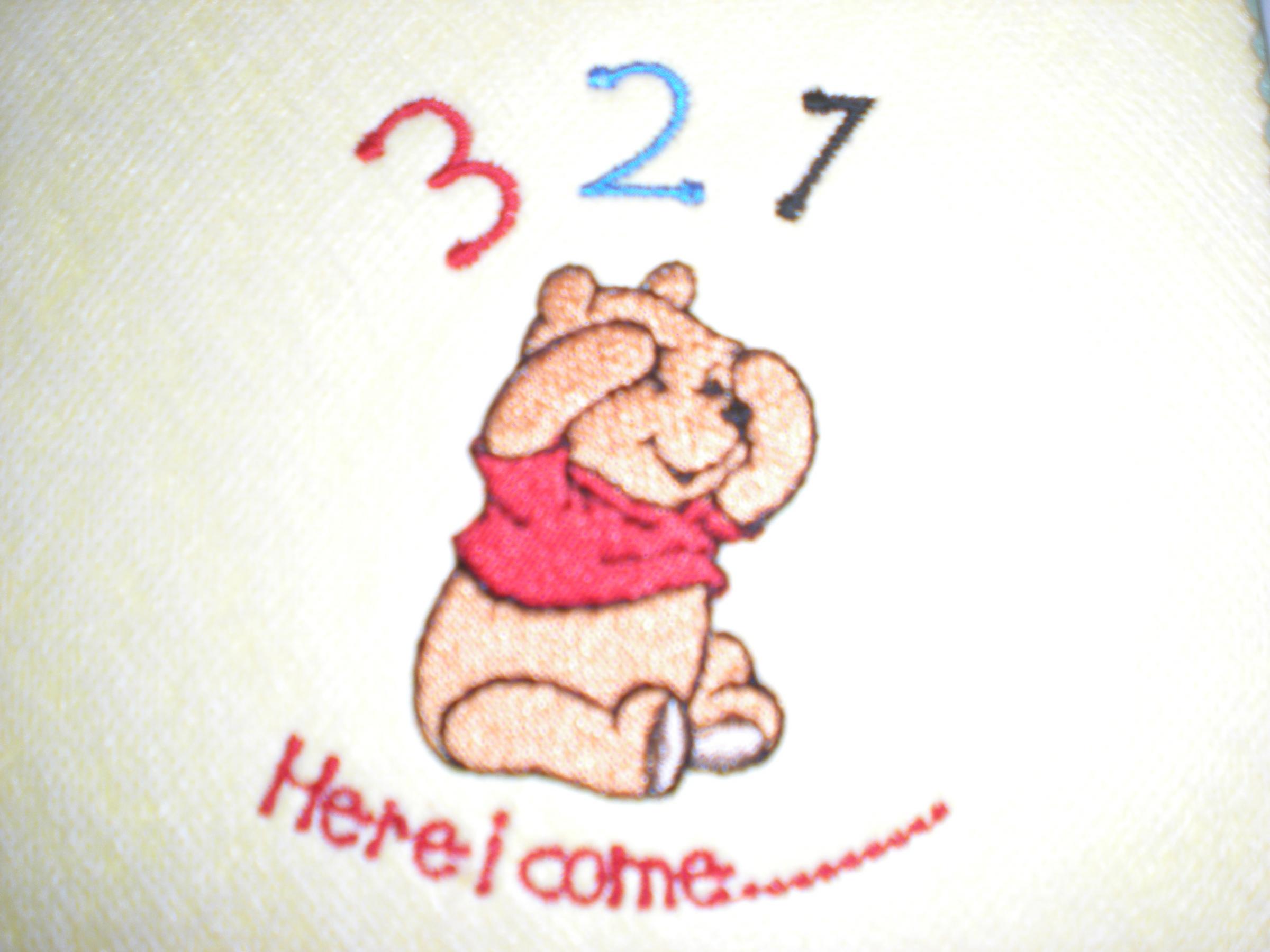 Winnie Pooh numerate machine embroidery design