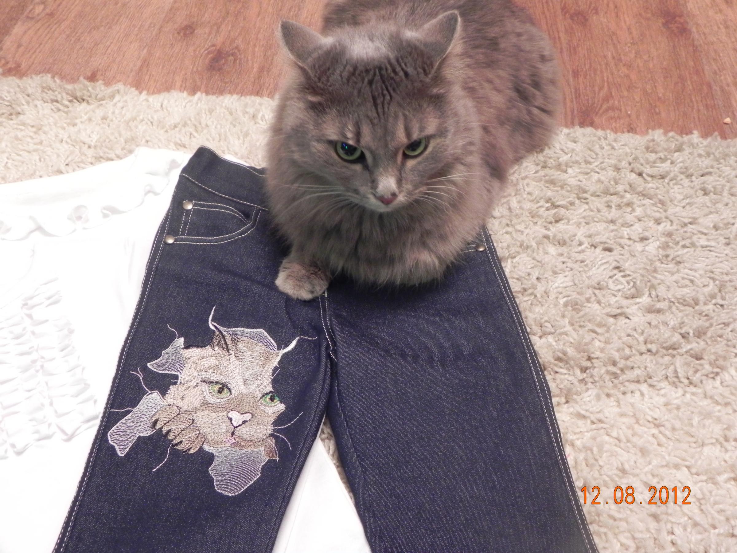 Jeans with angry cat free embroidery design