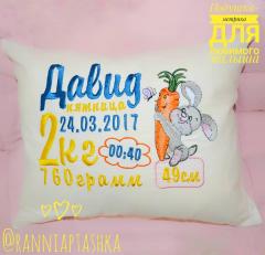 Embroidered cushion with Buuny and carrot design