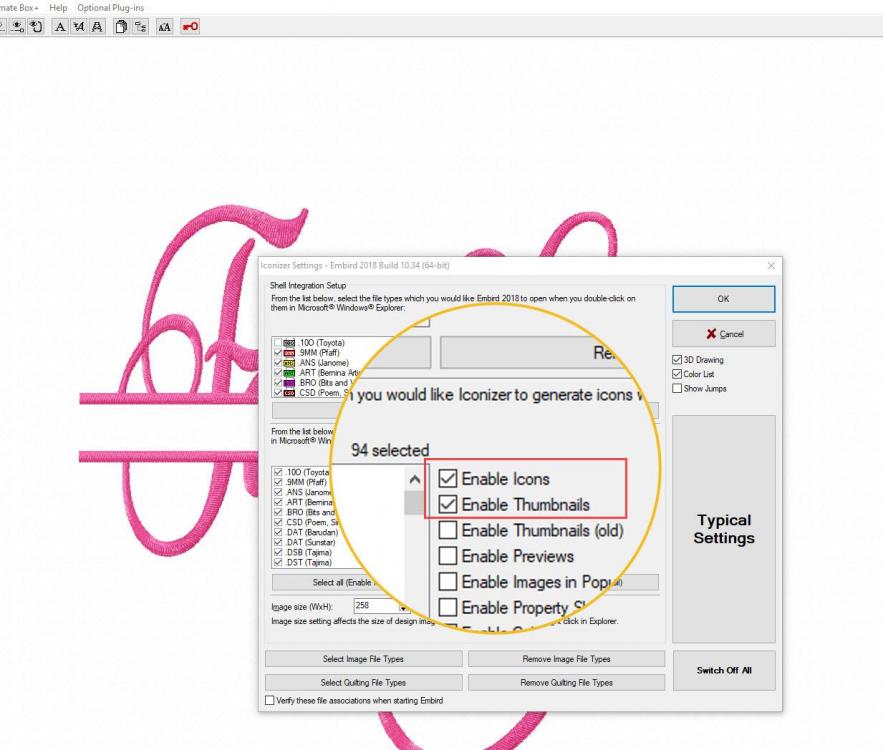 Iconizer setting for Embird embroidery software