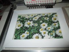 Embroidered daisies field design