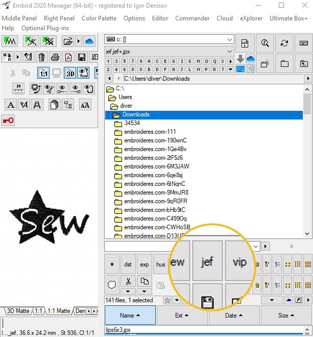 Embird software shown embroidery files