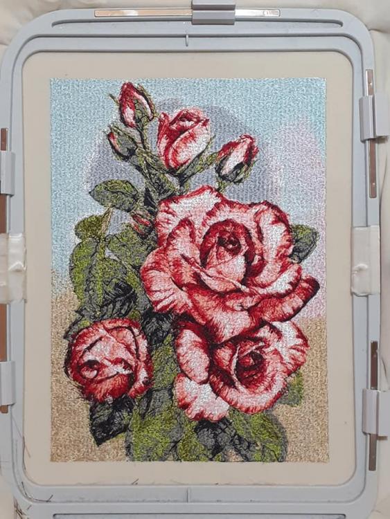 In hoop_fresh rose photo stitch free embroidery design