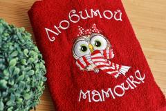 Embroidered towel with Owl with big eyes design