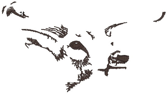 layer with nose and hears details layer with nose and hears details