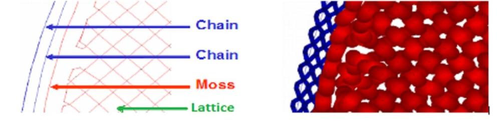 CHENIILE TYPESS CHENIILE TYPES