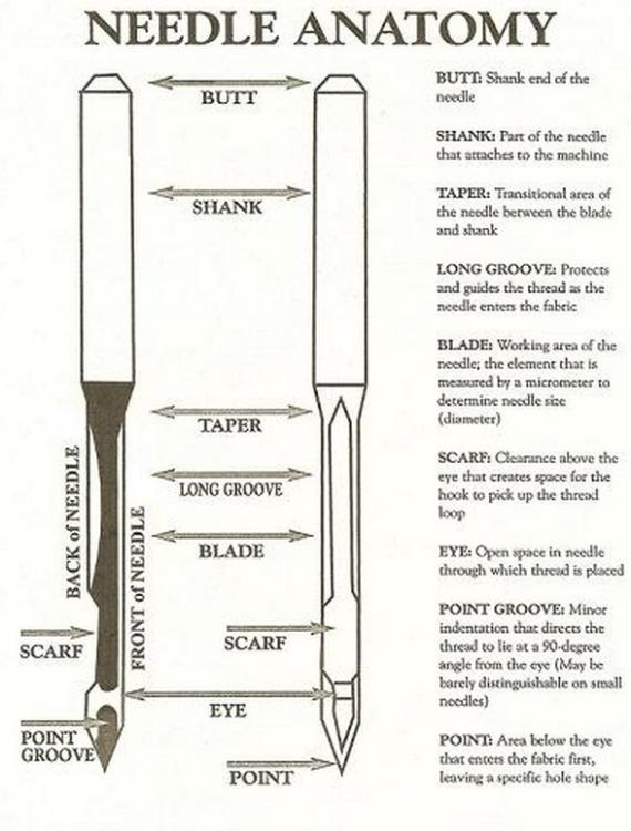 needle anatomy needle anatomy