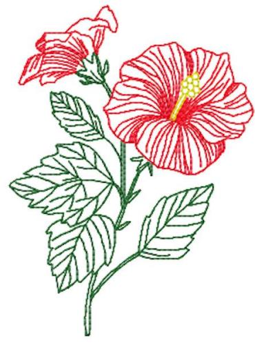 Hibiscus free embroidery design