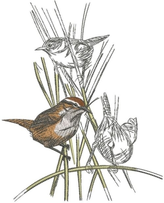 kinglets_embroidery_design.jpg